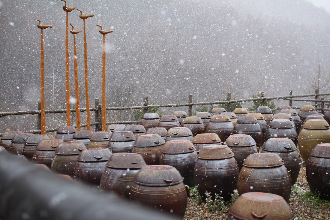 The Power of Fermentation - Kim'C Market