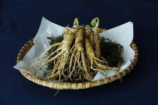 Top 5 Energy Boosters You Need - Kim'C Market