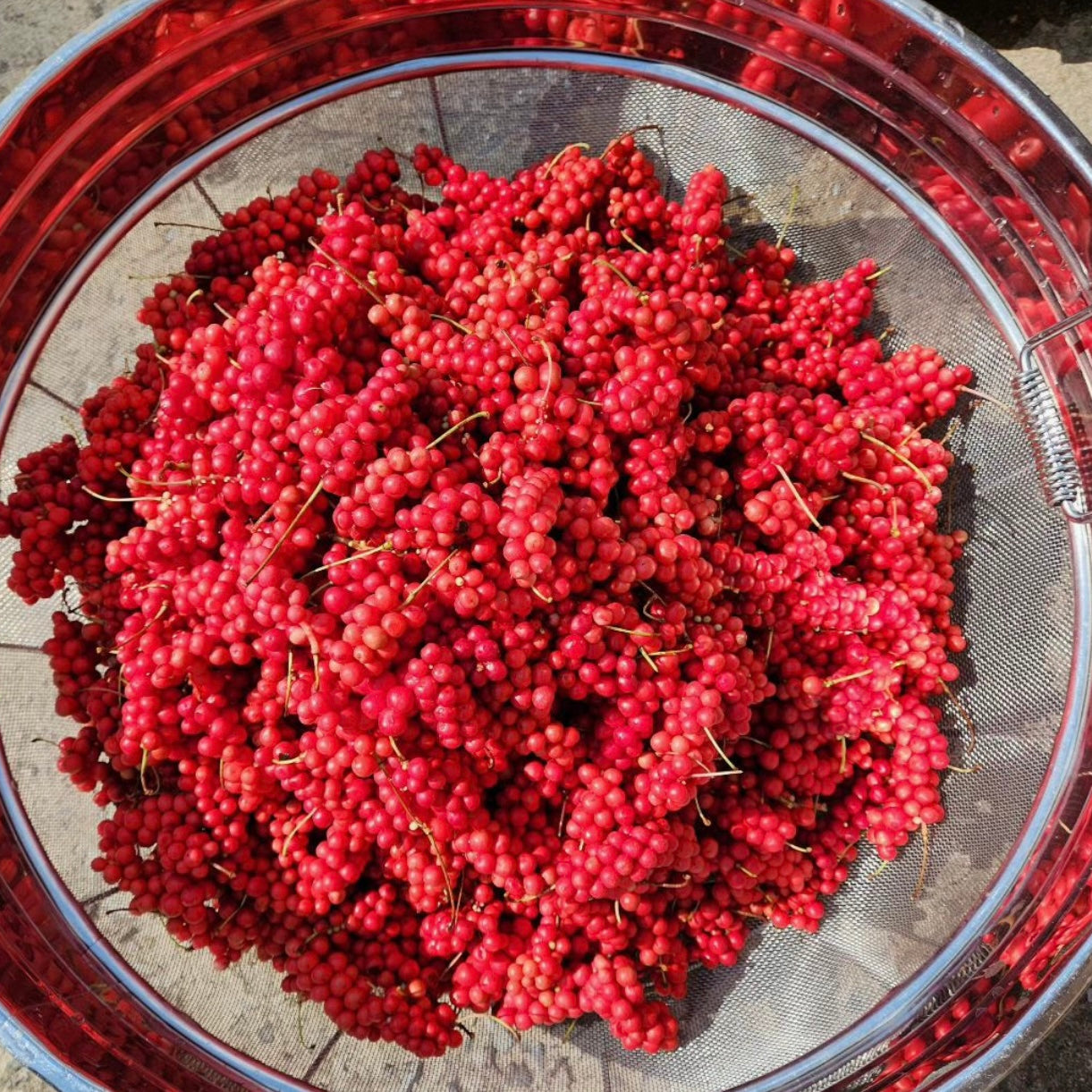 Omija Extract (500ml)