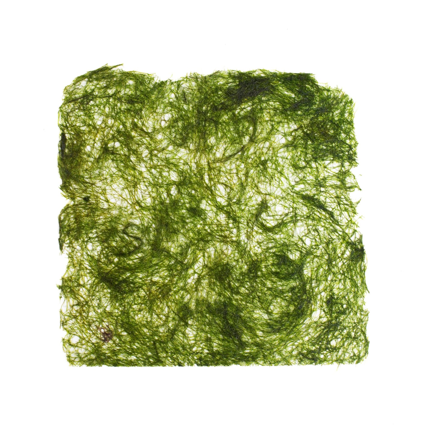 Gamtae (Pack of 2)