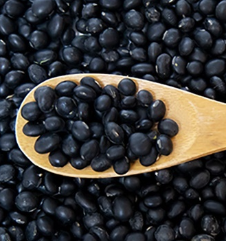 Black Doenjang (Sell-by Sale)