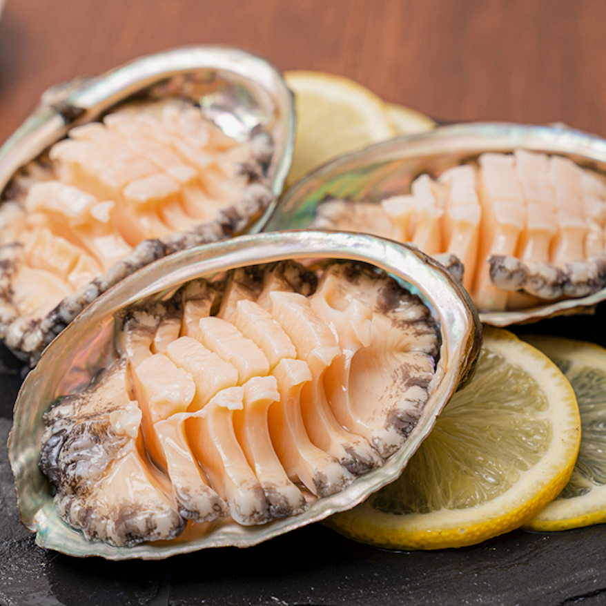 Wando Mom Abalone