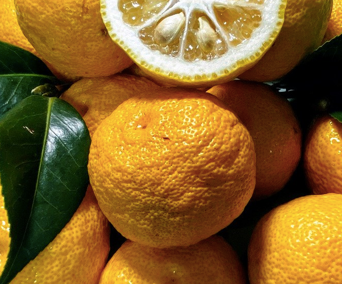 Organic Yuzu/Yuja (Citron) Juice