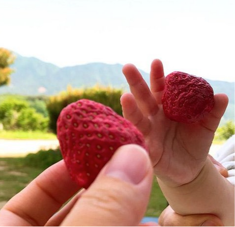 Korean Fruit Chips (pack of 2)