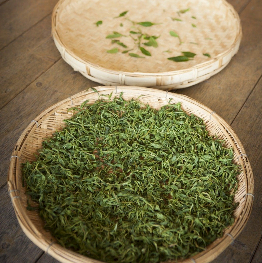 Bohyang Misty Tea (3 Flavors)