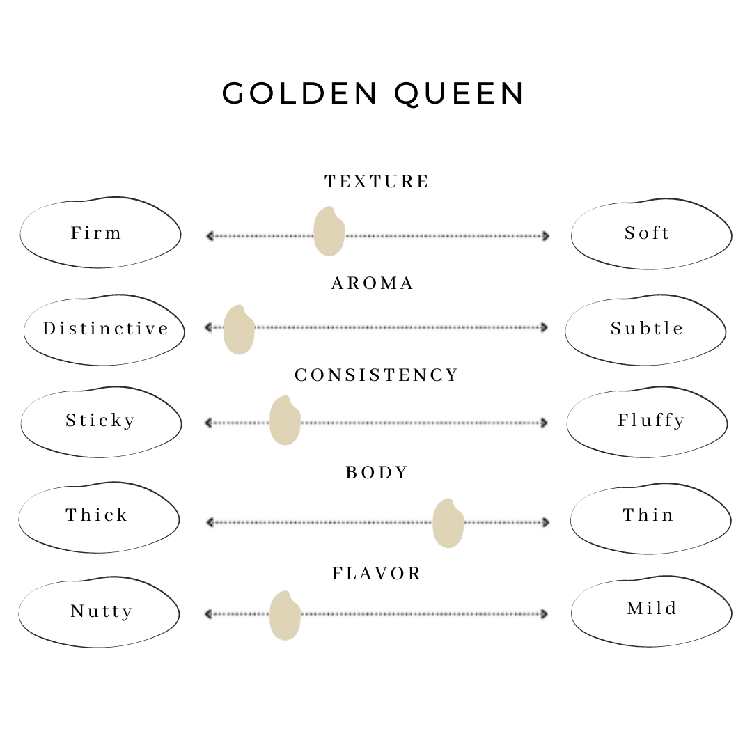 Infographic showing texture, aroma, and flavor profile of Golden Queen rice