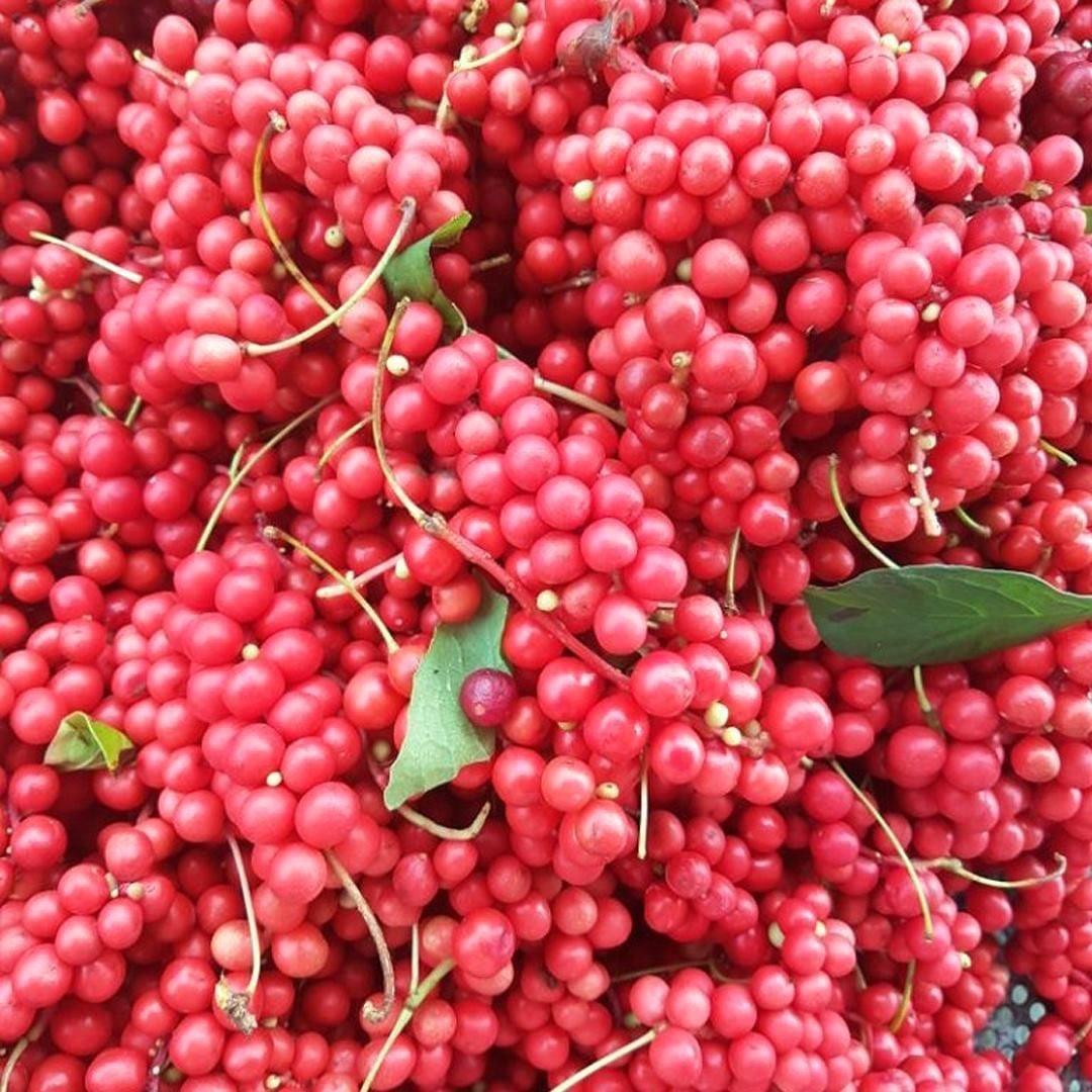 Omija Cheong (1000ml) - Kim'C Market