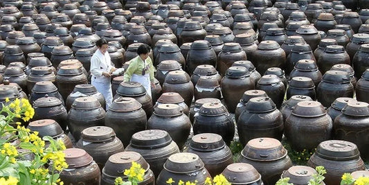 Kisoondo Soy Sauce: Korea’s 400-Year Fermented Culinary Treasure