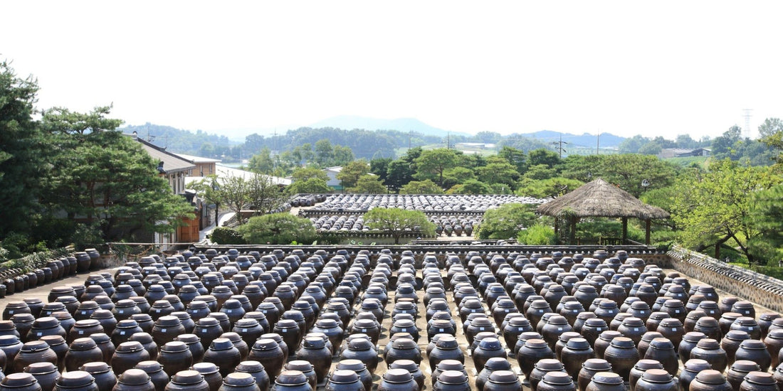 What Is Korean Jang? — Fermentation as Philosophy