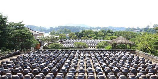 What Is Korean Jang? — Fermentation as Philosophy