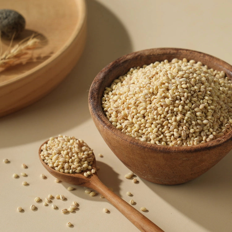 Organic glutinous barley grains in wooden bowl and scoop