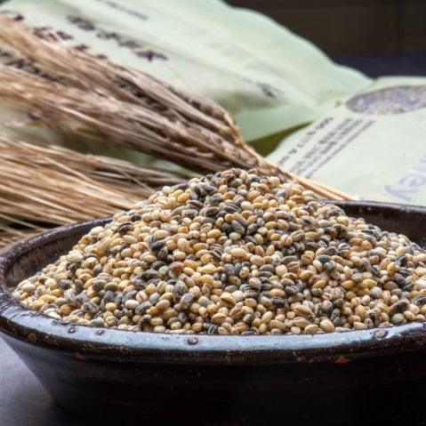5 Color Barley (Sell by 8/16/23) - Kim'C Market