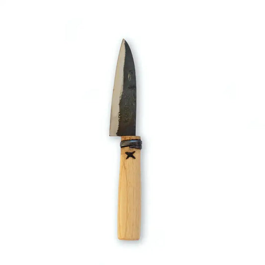 Master Shin's Fruit Knife