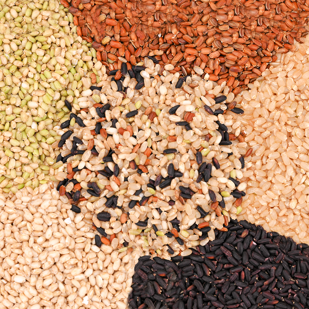 Organic Germinated Five Colored Rice