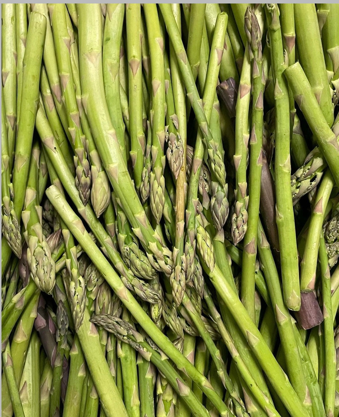 Asparagus Noodle