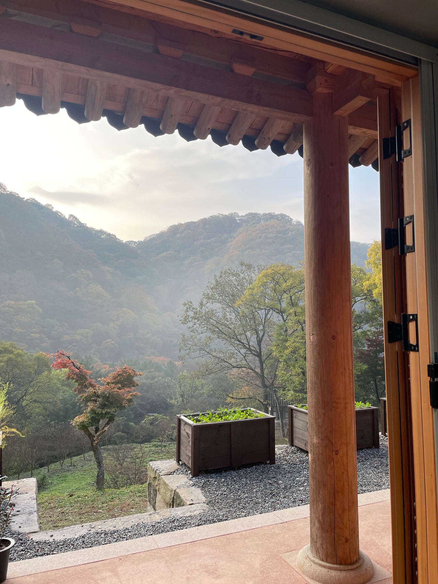 Fermentation, Tradition, and Tranquility: A Culinary Journey Through Korea