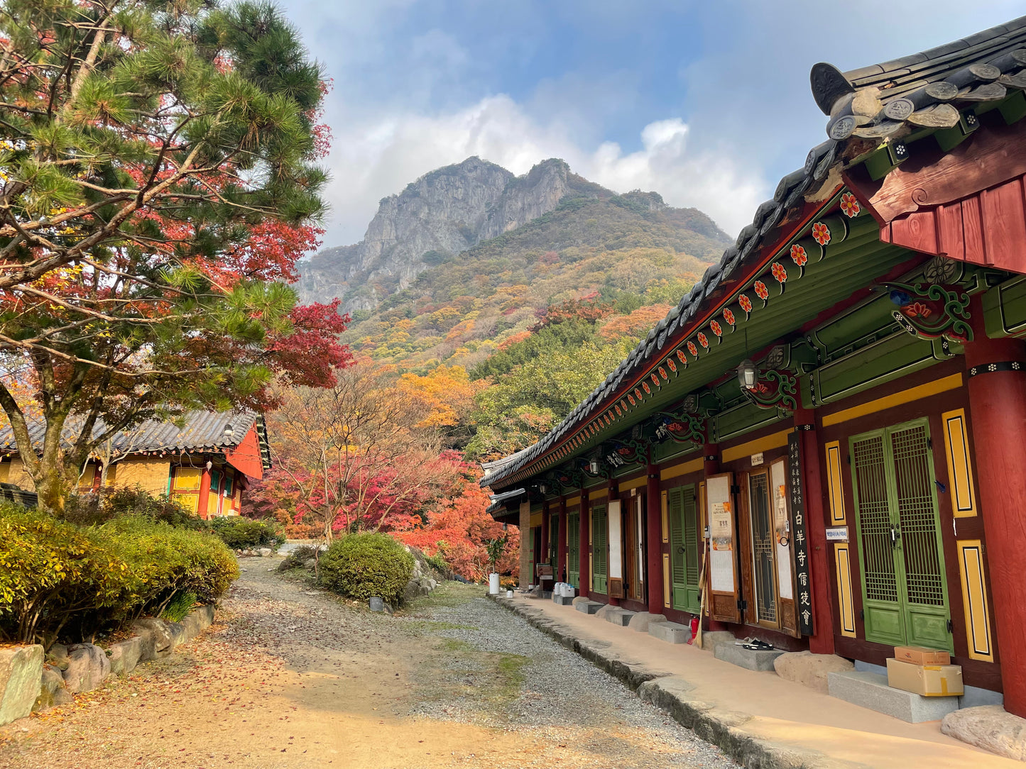 Fermentation, Tradition, and Tranquility: A Culinary Journey Through Korea