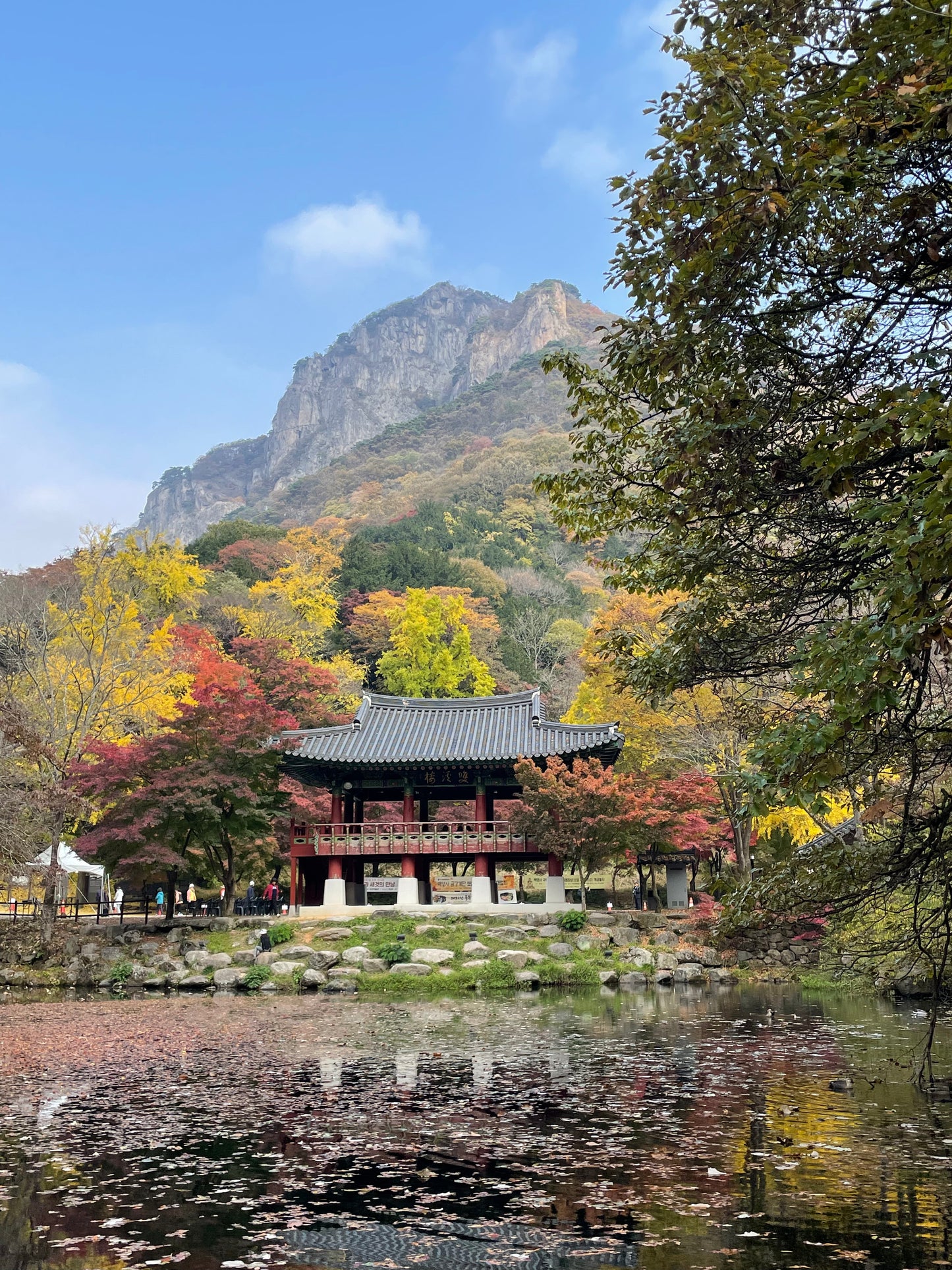 Fermentation, Tradition, and Tranquility: A Culinary Journey Through Korea