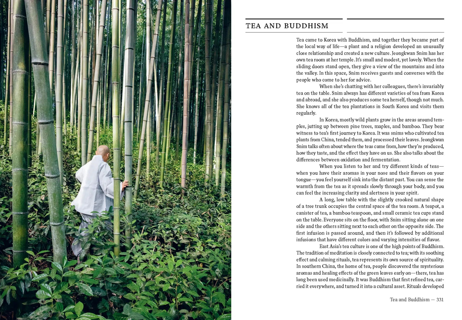 Book page with bamboo grove and a person in light robes standing among plants