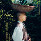 Korean Temple Cooking book cover with person carrying a basket of leafy greens