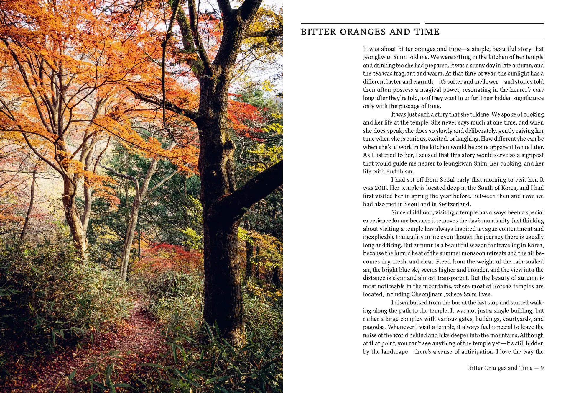 Korean Temple Cooking book open to autumn forest page with text