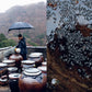 Outdoor kimchi fermenting jars lined up on a rooftop with a person under an umbrella
