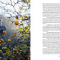 Korean Temple Cooking book spread with orange fruit on branches and text