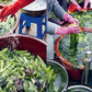 Korean Temple Cooking book spread with people washing leafy greens in basins