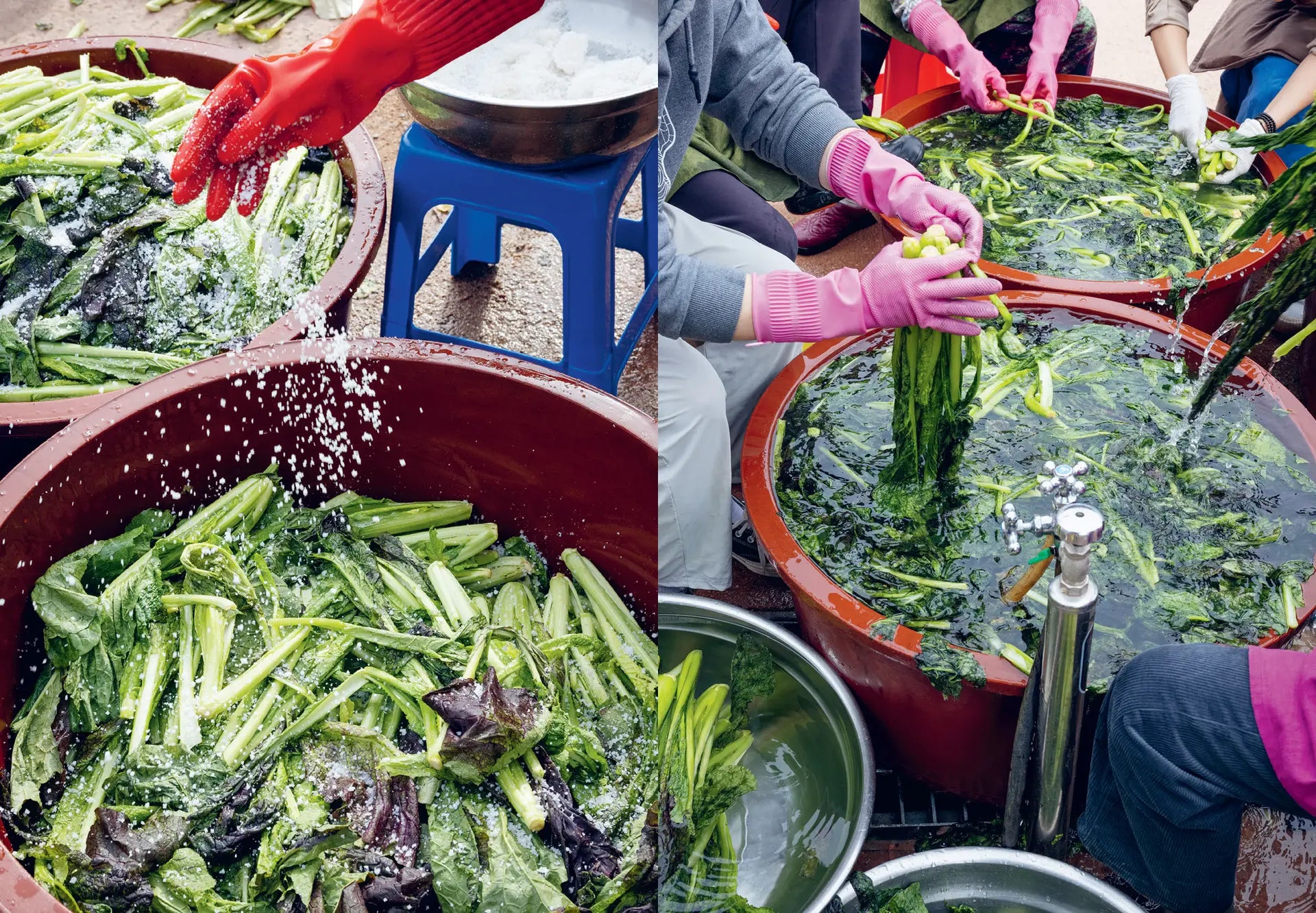 Korean Temple Cooking book spread with people washing leafy greens in basins