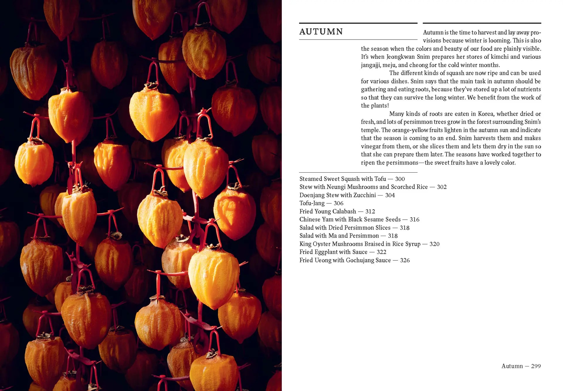 Book spread of hanging autumn persimmons in orange bunches