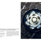 Book page showing a white kimchi dish with black sesame seeds in a dark bowl