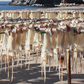Dried Squid (5 in 1 pack)