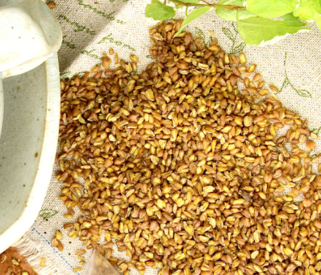 Organic Tartary Buckwheat