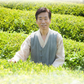 Organic Mugwort Tea