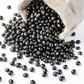 Mini Black Soybean