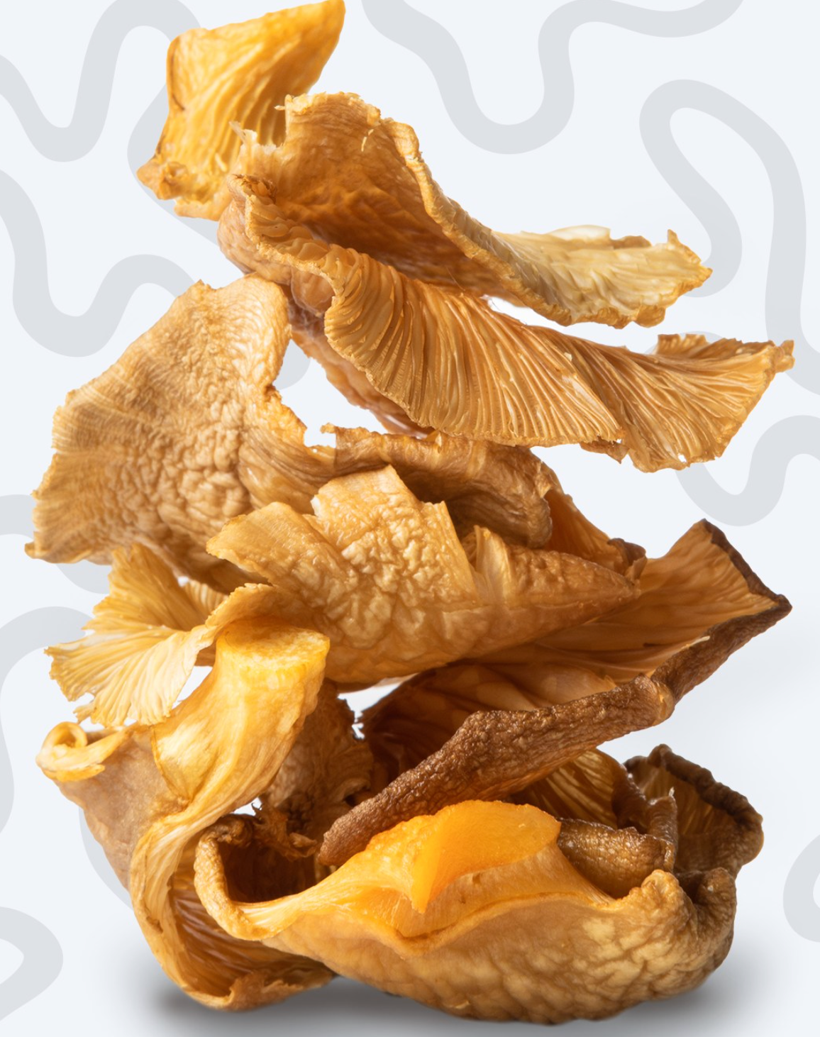 Crunch Mushroom Chips