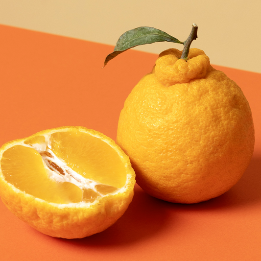 제주 한라봉 선물세트 (Delivery available only in Korea)