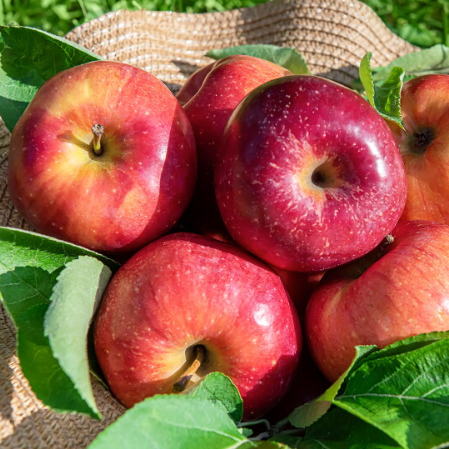 프리미엄 과일 선물세트 1호 (배 3, 사과3, 샤인 머스캣 2) (Delivery available only in Korea)