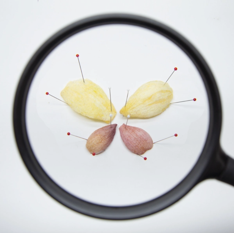 Veggie Chips ( 5 flavors )