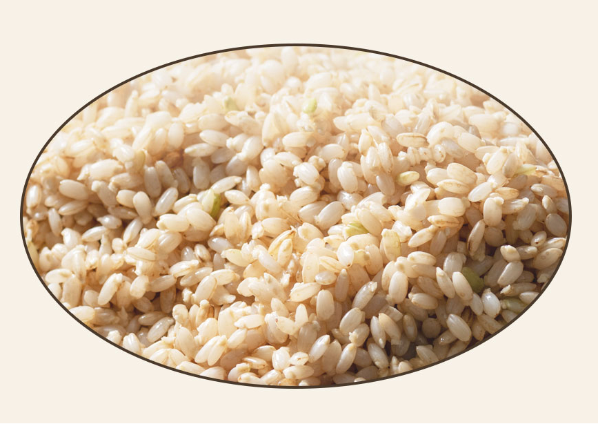 Pesticide-Free Multi-Grain Powder