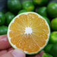 Sliced tangerine fruit with green rind and juicy orange segments