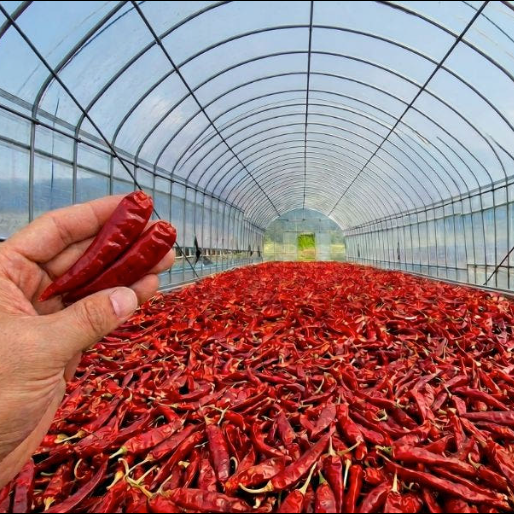 Korean Sun-Dried Goghugaru (2 sizes)- Coarse