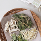 Shepherd’s Purse Soybean Paste Kit