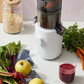 Hurom H310 (Easy Clean, Compact) - 2 colors