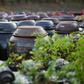 Stacked dark lids and large containers outdoors with green herbs in the foreground