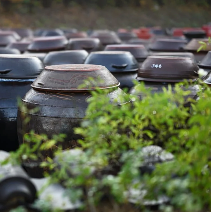 Stacked dark lids and large containers outdoors with green herbs in the foreground