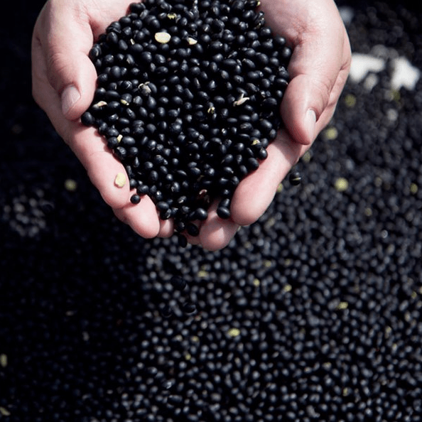 Black Soybean - Kim'C Market