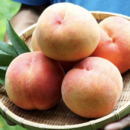 Dried Peach - Kim'C Market
