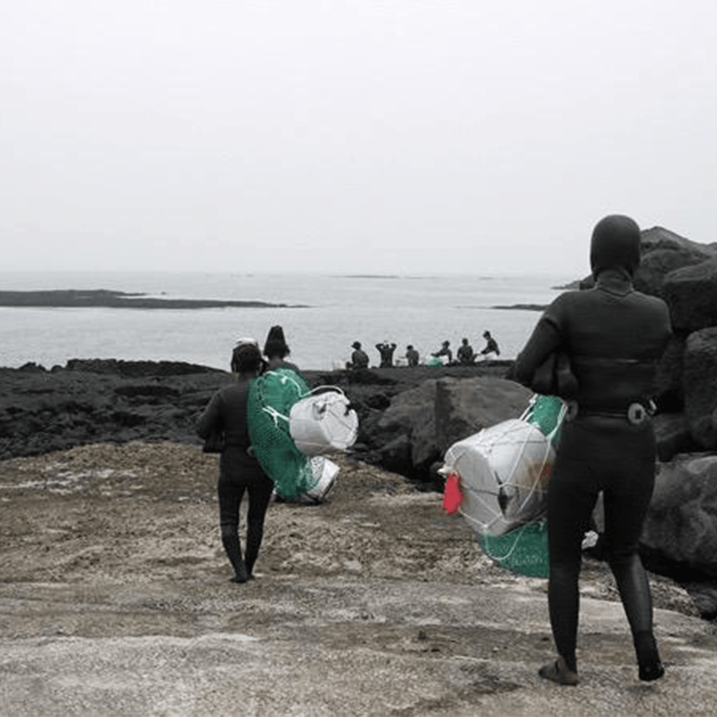 Jeju Haenyeo Hijiki - Kim'C Market