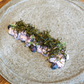 Dried curly sea mustard (miyeokgwi), dark green seaweed strands on a plate